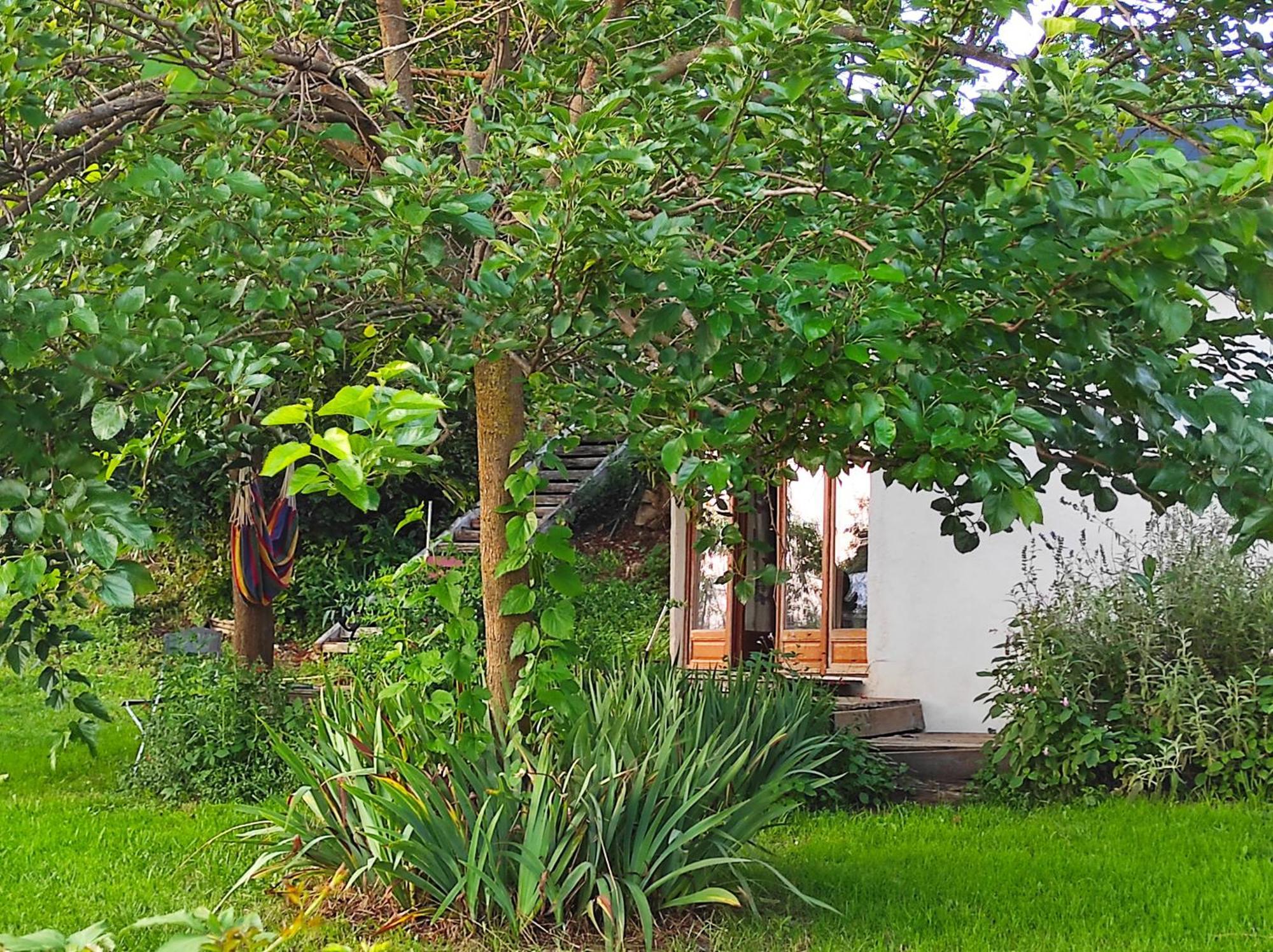 Bed and Breakfast Bout De Cote Lacam-dʼOurcet Zewnętrze zdjęcie